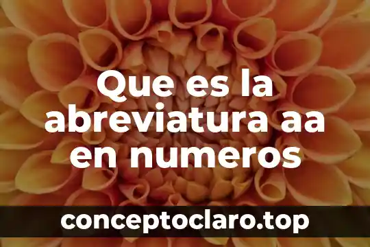 Que es la abreviatura aa en numeros