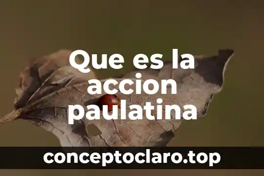 Que es la accion paulatina