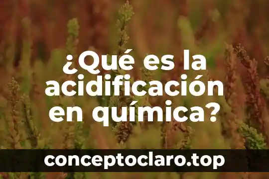 ¿Qué es la acidificación en química?