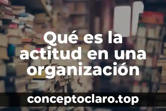 Qué es la actitud en una organización