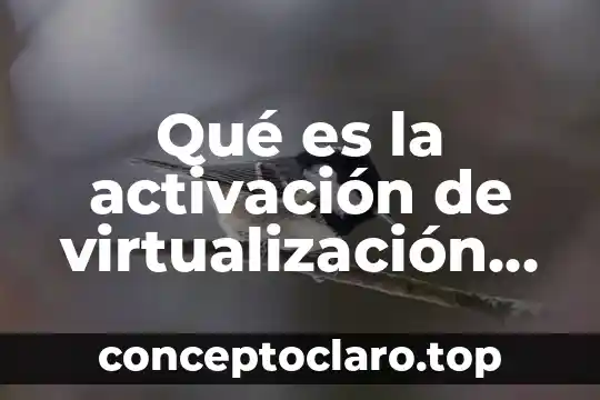 Qué es la activación de virtualización AMD procesador
