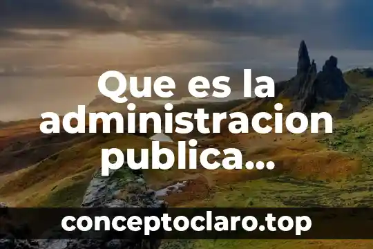 Que es la administracion publica concepto