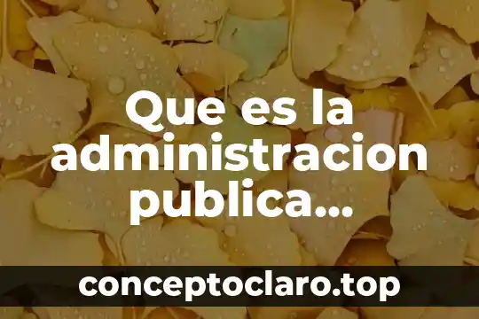 Que es la administracion publica slideshare