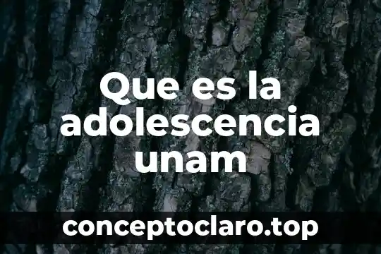 Que es cultuira concepto de la unam 3 Que es la adolescencia unam