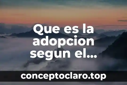 Que es reconvencion en derecho civil 4 Que es la adopcion segun el codigo civil ecuatoriano
