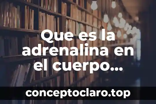 Que es la adrenalina en el cuerpo humano