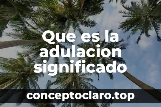 Significado que es leer para mi 7 Que es la adulacion significado