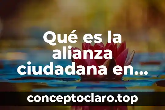 Qué es la participación pública y ciudadana 5 Qué es la alianza ciudadana en México