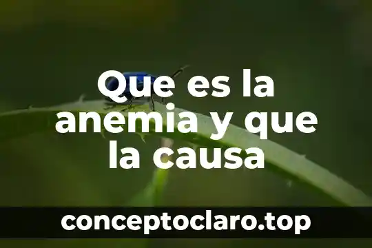 Que es significa sin causa legitima 7 Que es la anemia y que la causa