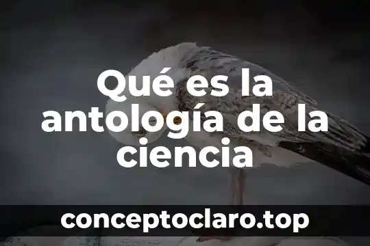 Que es la ciencia y la tecnologia con respuesta 8 Qué es la antología de la ciencia