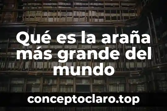 Qué es la araña más grande del mundo