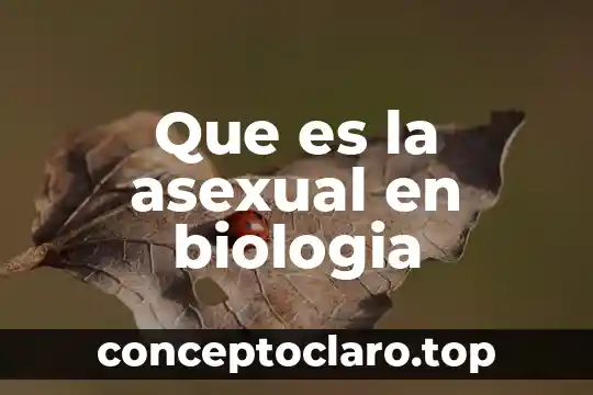 Que es ser asexual en una mujer 8 Que es la asexual en biologia