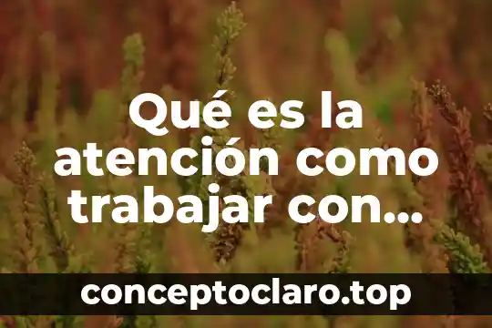 Qué es la atención como trabajar con ella