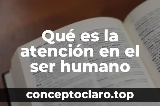 Qué es la atención en el ser humano