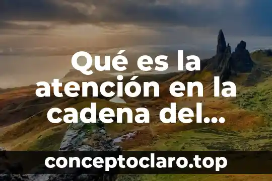 Qué es la atención en la cadena del valor