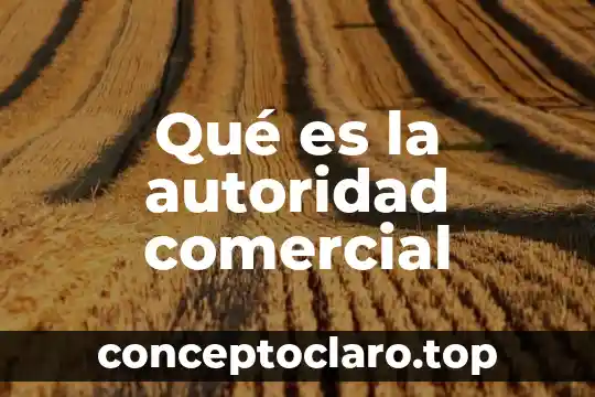 Tecno Comercial que es 5 Qué es la autoridad comercial