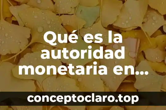 Qué es beneficencia pública en el derecho significado 5 Qué es la autoridad monetaria en México