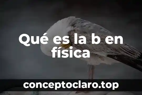 Que es trabajo colectivo en educacion fisica 7 Qué es la b en física