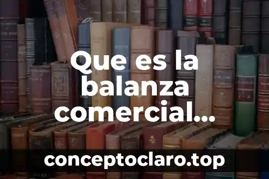 En mexico que es el nombre comercial de una empresa 3 Que es la balanza comercial positiva y negativa