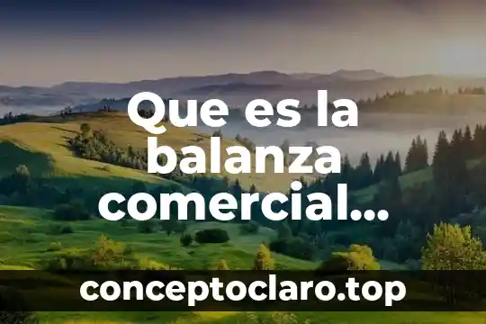Que es la balanza comercial productos y servicios
