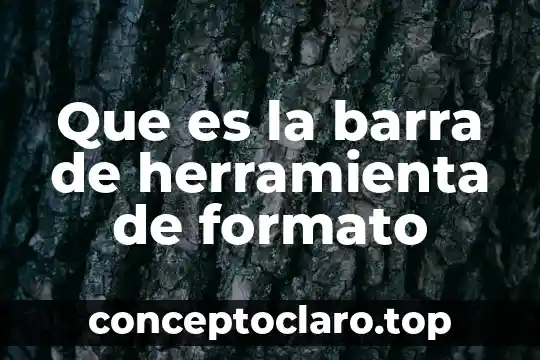 Que es un formato acess 3 Que es la barra de herramienta de formato