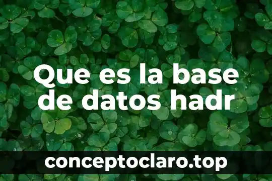 Que es color base pastel 3 Que es la base de datos hadr