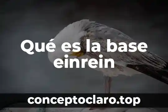Qué es la base einrein