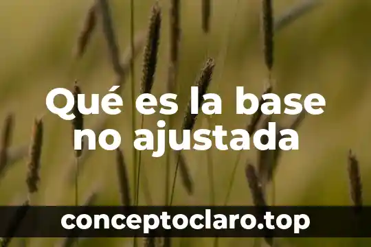 Qué es la base no ajustada