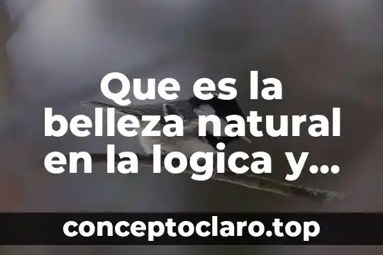 Que es la belleza natural en la logica y argumentacion
