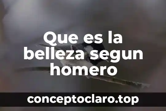 Que es la belleza segun homero