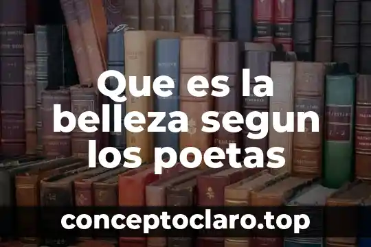MTP Massive Transformative Purpose qué es según Porter 6 Que es la belleza segun los poetas