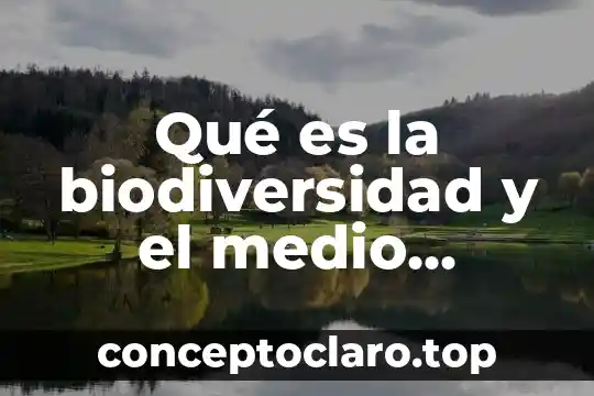 Que es un medio de comunicacion de red 5 Qué es la biodiversidad y el medio ambiente
