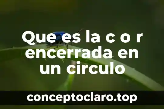 Que es un circulo de lectura y para que sirve 6 Que es la c o r encerrada en un circulo