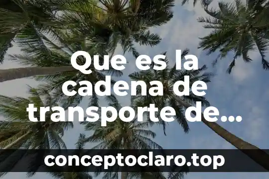 Que es la cadena de transporte de electrones mitocondrial