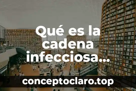 Qué es la cadena infecciosa definición