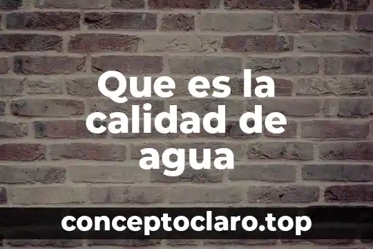 Que es una pistola de agua 3 Que es la calidad de agua