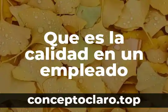 Que es la calidad en un empleado