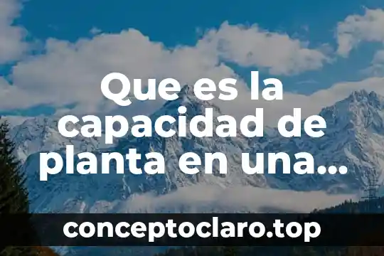 Que es la capacidad de planta en una empresa