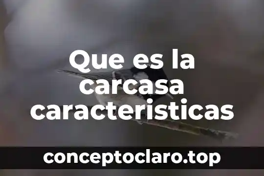 Que es la carcasa caracteristicas