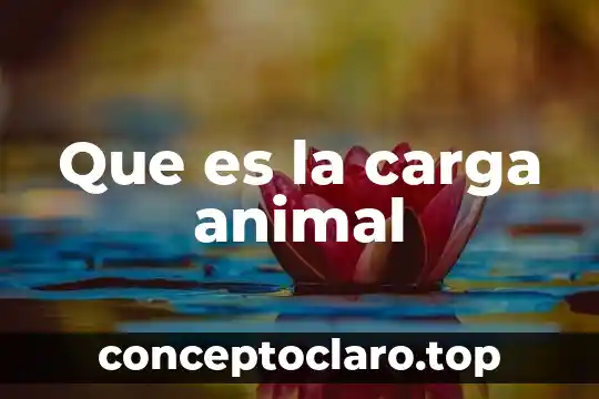Que es la carga animal