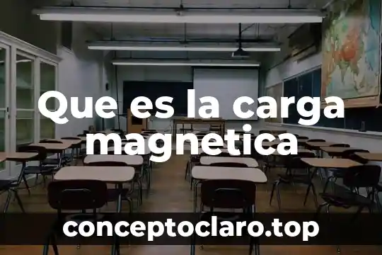 Que es la carga magnetica