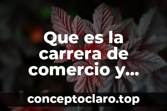 Que es proyecto en plan de negocios 5 Que es la carrera de comercio y negocios internacionales
