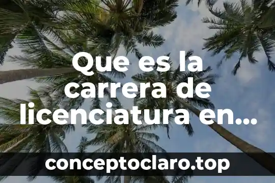 Que es la carrera de licenciatura en enseñanza de matematicas