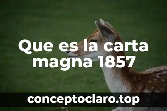 Que es la felicidad carta 5 Que es la carta magna 1857