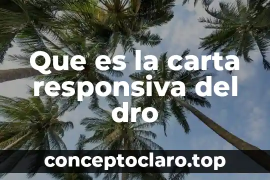 Que es la carta responsiva del dro