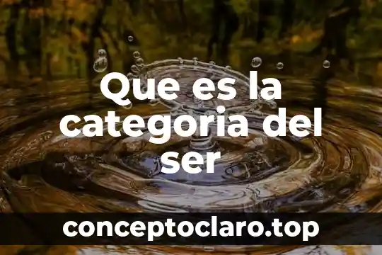 Que es la categoria del ser