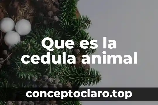 Que es axil anatomia animal 7 Que es la cedula animal