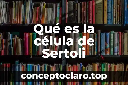 Qué es la célula de Sertoli