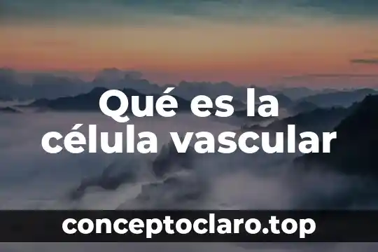 Qué es la célula vascular
