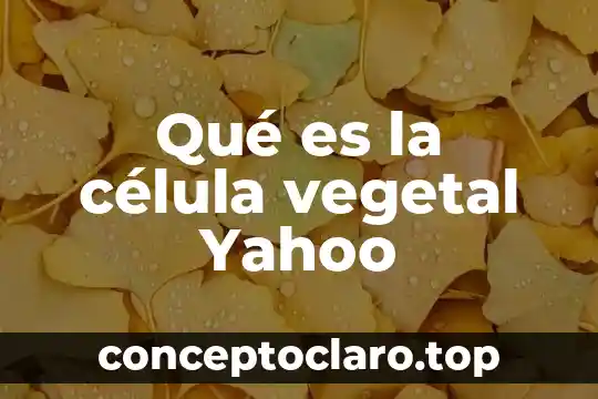 Que es una celula vegetal expilcacion 3 Qué es la célula vegetal Yahoo